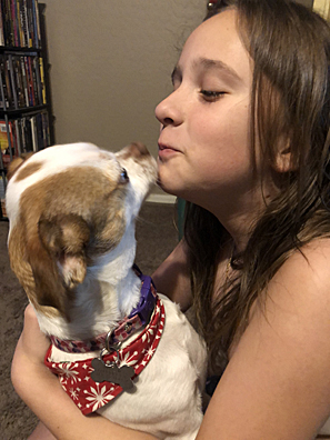 Pet Picture
